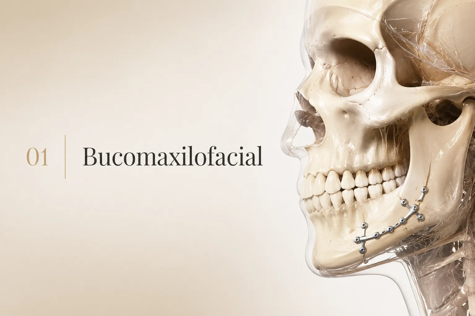 Ilustração editorial — Bucomaxilofacial
