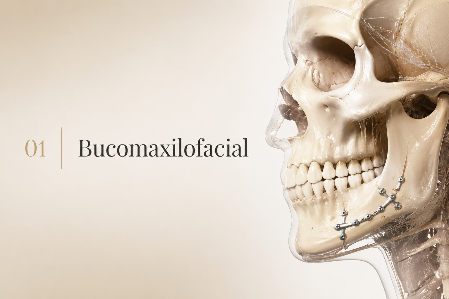 Ilustração editorial — Bucomaxilofacial