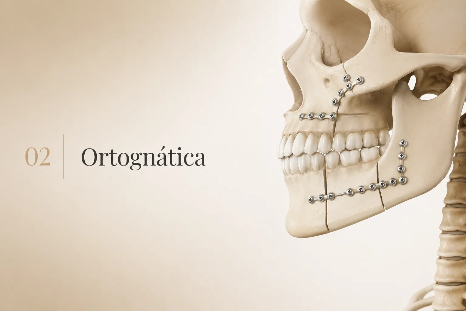 Ilustração editorial — Ortognática