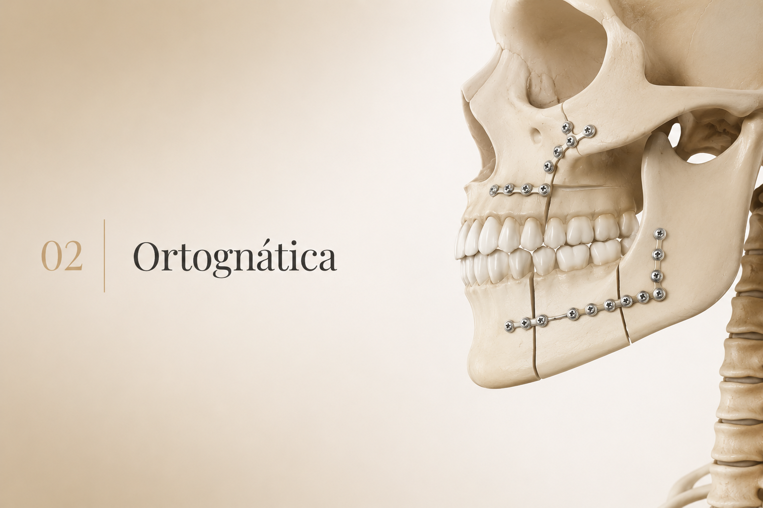 Ilustração editorial — Ortognática
