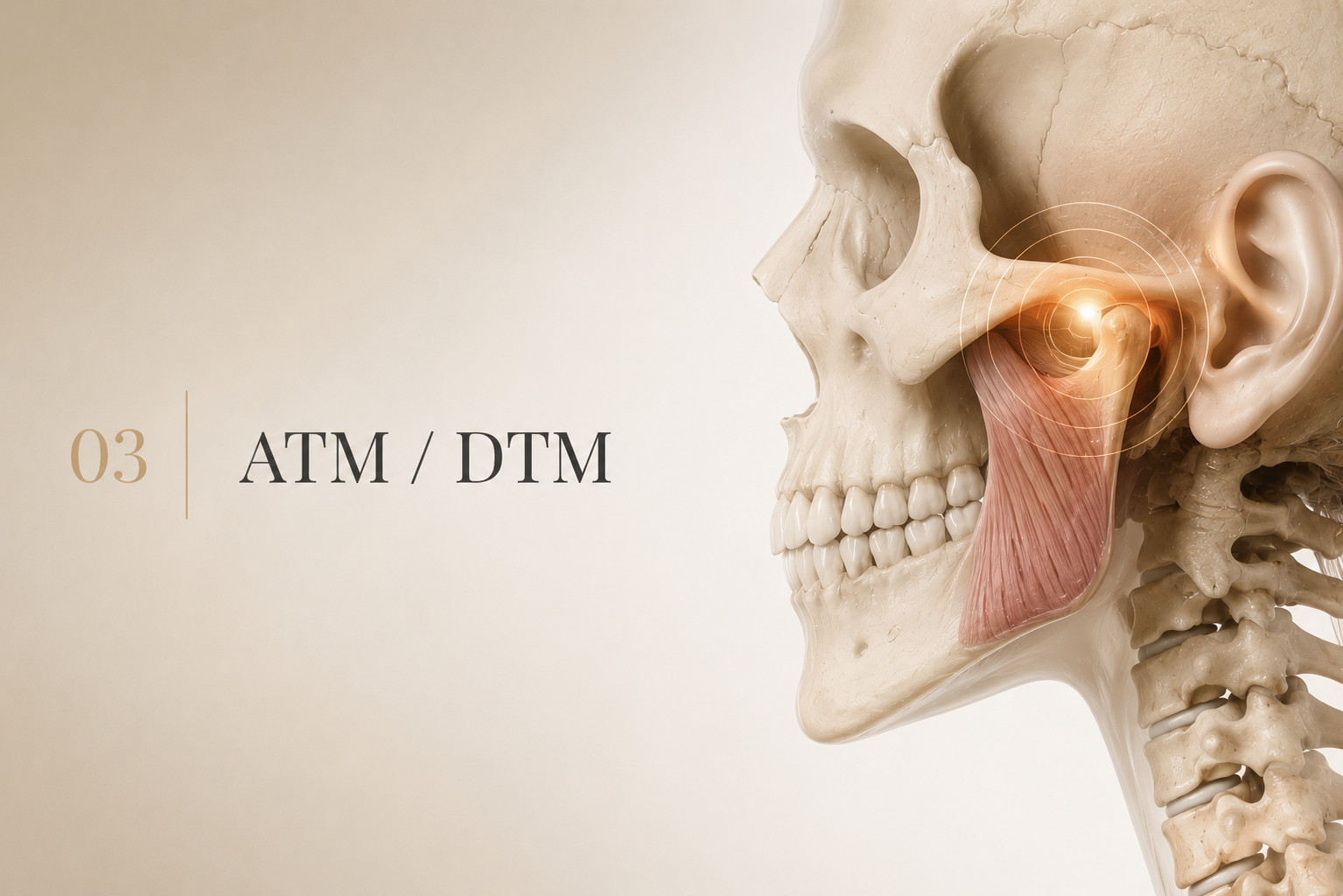 Ilustração editorial — ATM / DTM