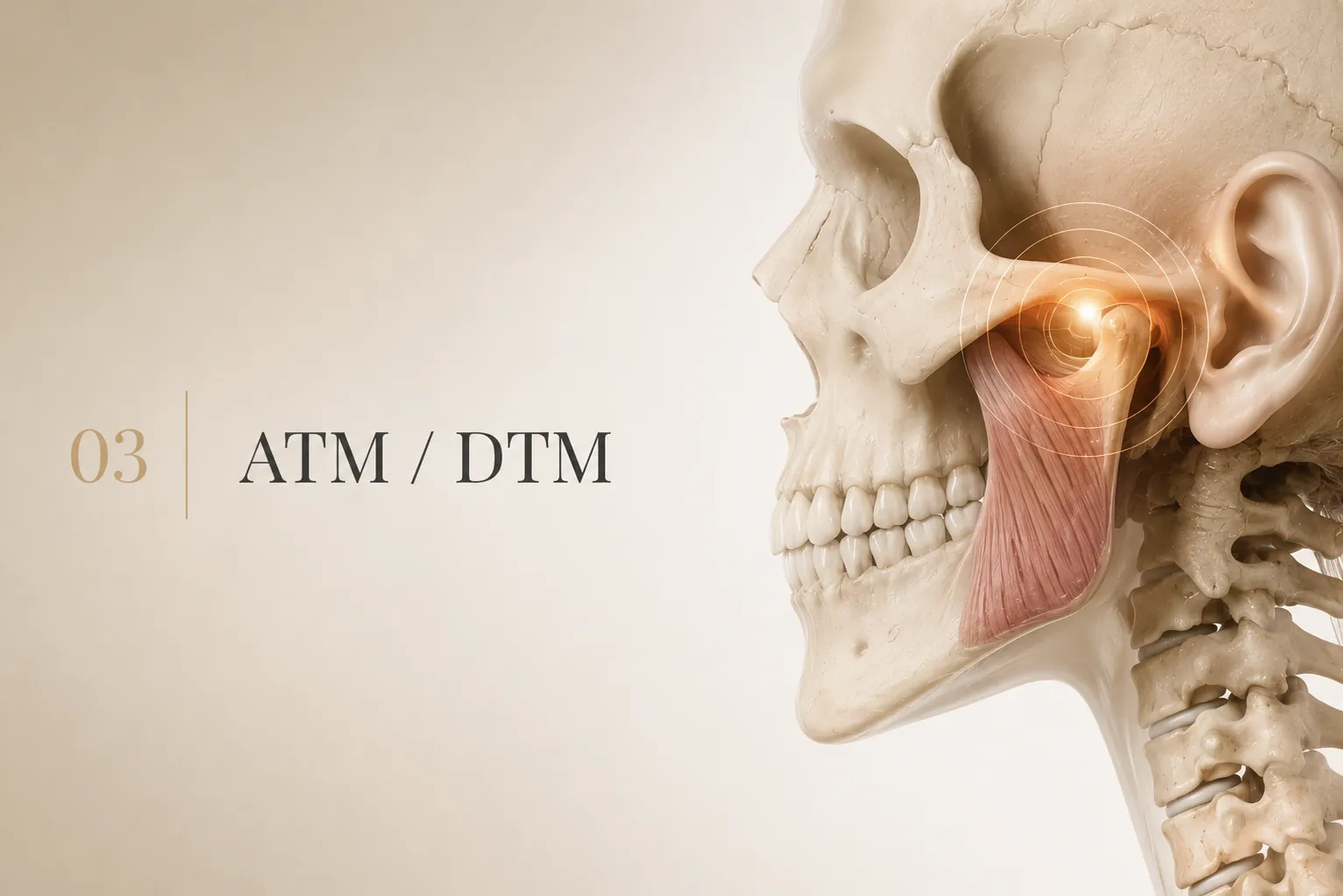 Ilustração editorial — ATM / DTM